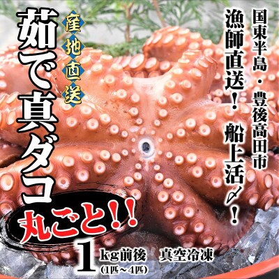 船上活締め!!ゆで真ダコ丸ごと(1~4匹)