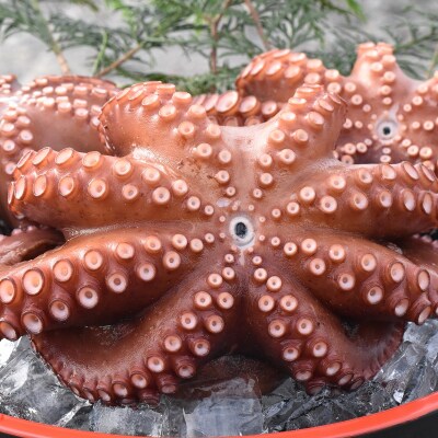 船上活締め!!ゆで真ダコ丸ごと(1~4匹)