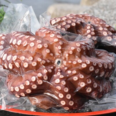 船上活締め!!ゆで真ダコ丸ごと(1~4匹)