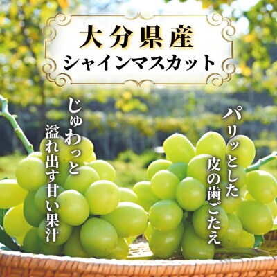 【ふるさと納税】《先行受付》至極の果実 シャインマスカット 2kg 大分県産 化粧箱入り 
