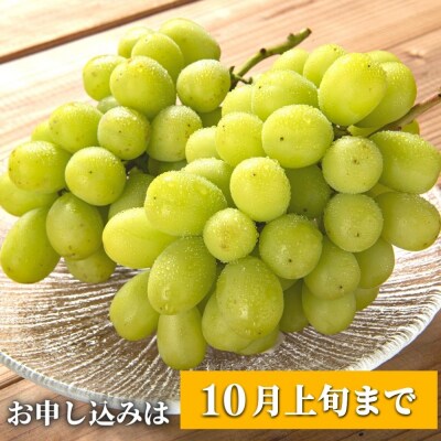 【ふるさと納税】《先行受付》至極の果実 シャインマスカット 2kg 大分県産 化粧箱入り 
