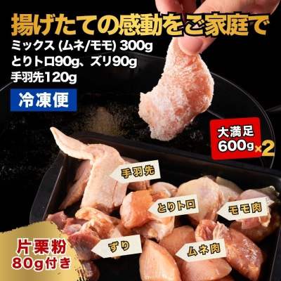 【からあげ壱気】 大分からあげ 600g×2セット(モモ、とりトロ、ムネ、ずり、手羽先)