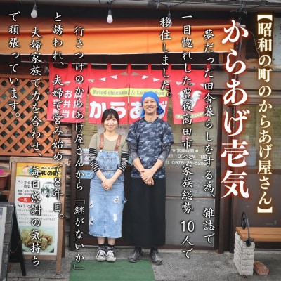 【からあげ壱気】 大分からあげ 660g (モモ、とりトロ、ムネ、ずり、手羽先)