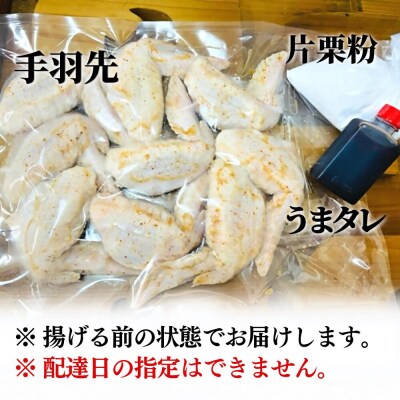 うまタレ付 手羽先 550g 【 からあげ 壱気 】
