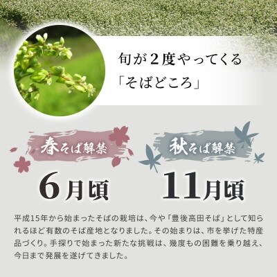 豊後高田産そば乾麺12食(つゆ付) | お礼品詳細 | ふるさと納税なら
