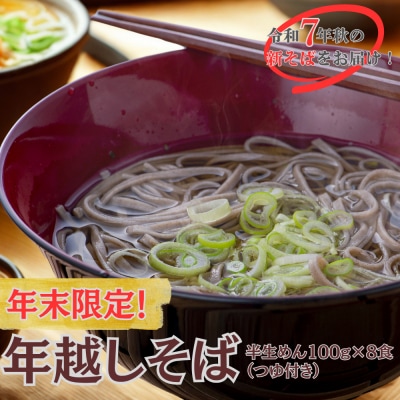 【ふるさと納税】年越しそば 用 R7秋 新そば 豊後高田そば(100g×8食・つゆ付) 12/17~