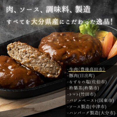 大分の恵み ハンバーグ 1.6kg (160g×10個)