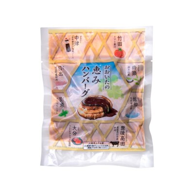 大分の恵み ハンバーグ 1.6kg (160g×10個)