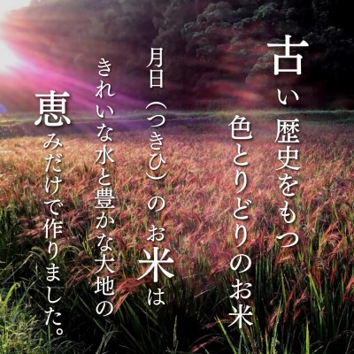 【先行受付R7年産】自然栽培 古代米 ブレンド【赤米・黒米・みどりもち】