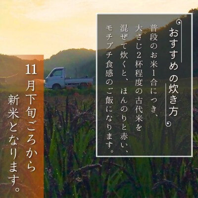 【先行受付R7年産】自然栽培 古代米 ブレンド【赤米・黒米・みどりもち】