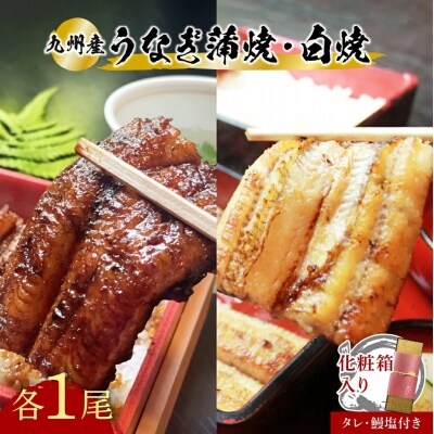 【スピード発送】 うなぎ 志おや 九州産 鰻 蒲焼 白焼 セット 各1本(タレ・塩付)