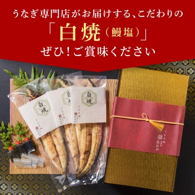 【スピード発送】 うなぎ 志おや 九州産 鰻 白焼 3本(塩付き) ウナギ 塩