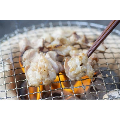 おおいた豊後牛　白ホルモン(400g×2P)