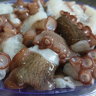 船上活締め!!生真ダコ ぶつ切り(200g×5P) たこ タコ 蛸 | 大分県豊後