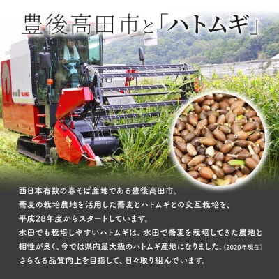 精白 ハトムギ 300g×6袋 (ひきわりタイプ) 雑穀 美容 健康 はとむぎ