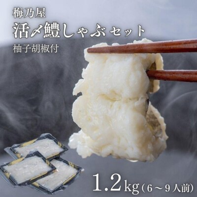 活〆鱧しゃぶしゃぶセット 1200g(6~9人前)