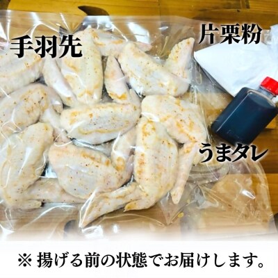 うまタレ付 手羽先 550g×2P 計1.1kg 【 からあげ 壱気 】