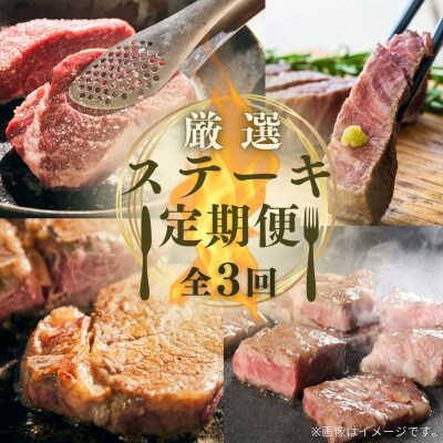 厳選ステーキ定期便 全3回 ヒレ サーロイン 肩ロース サイコロ ステーキ おおいた和牛 黒毛和牛