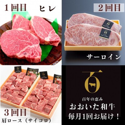 厳選ステーキ定期便 全3回 ヒレ サーロイン 肩ロース サイコロ ステーキ おおいた和牛 黒毛和牛