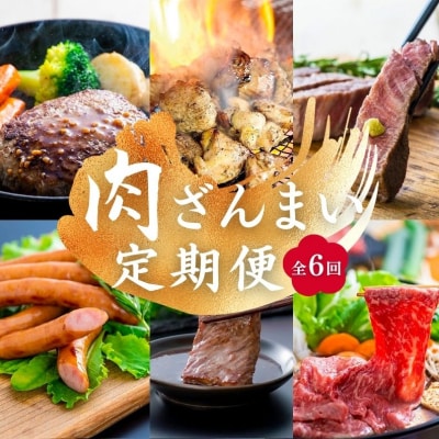 肉 ざんまい 定期便 全6回 6か月 牛肉 焼肉 ステーキ スライス 鶏肉 ウインナー ハンバーグ