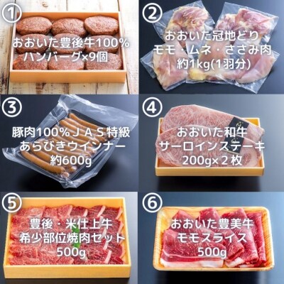 肉 ざんまい 定期便 全6回 6か月 牛肉 焼肉 ステーキ スライス 鶏肉 ウインナー ハンバーグ