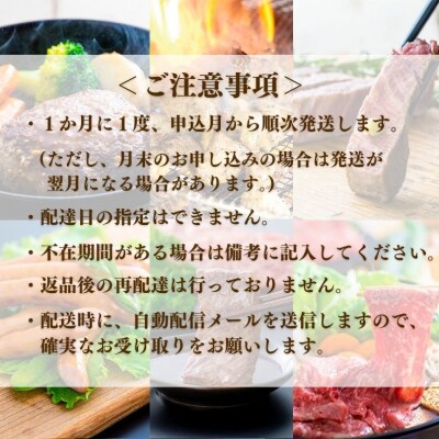 肉 ざんまい 定期便 全6回 6か月 牛肉 焼肉 ステーキ スライス 鶏肉 ウインナー ハンバーグ