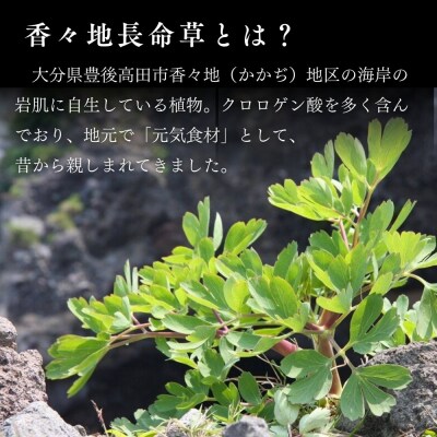 長命草のチカラ 24本入り 1箱 機能性表示食品 飲料 紫ボタンボウフウ