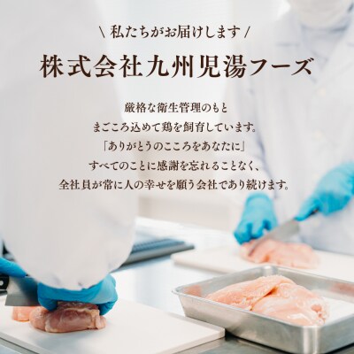 鶏肉 特別飼育 豊後どり もも肉・むね肉セット 計4kg 各2kg 冷凍 国産 九州 鶏肉