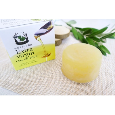 �G�L�X�g���o�[�W���I���[�u�I�C���������� (100g)×1�� �Ό� �΂��� ���p�i