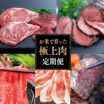 お米で育った肉のバラエティ定期便(毎月発送・計5回)