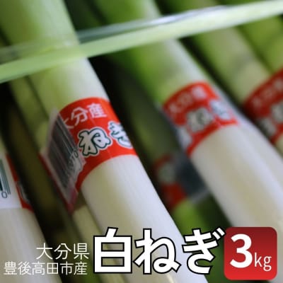 【先行予約】白ねぎ 3kg 豊後高田市産