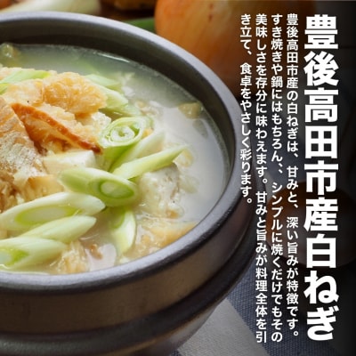 【先行予約】白ねぎ 3kg 豊後高田市産