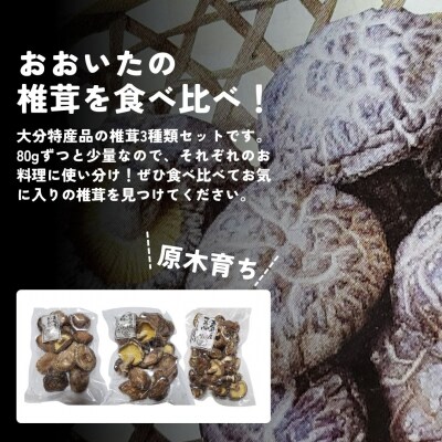 干し椎茸セット(どんこ・香信・こつぶ各80g) 原木栽培