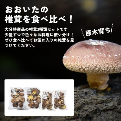 干し椎茸セット(どんこ・香信各100g×1/こつぶ80g×2) 原木栽培