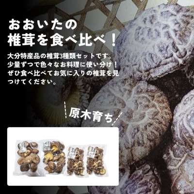 干し椎茸セット(どんこ・香信各100g×1/こつぶ80g×2) 原木栽培