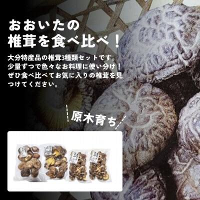干し椎茸セット(どんこ・香信各100g×1/こつぶ80g×2) 原木栽培