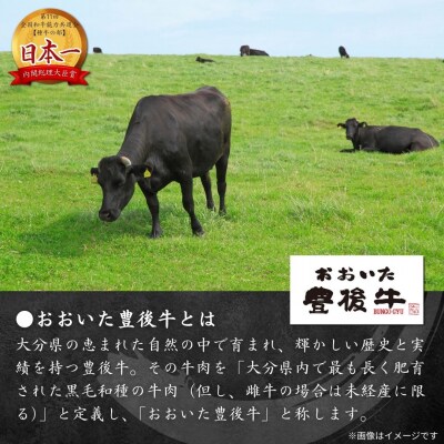 【9月30日までの期間限定 和牛生ハム1P付】豊後牛切り落とし(200g×4P)