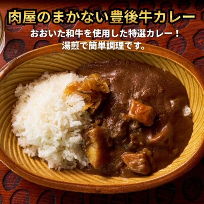 肉屋のまかない豊後牛カレー230g (10袋)
