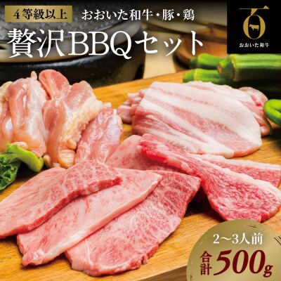 【スピード発送】 焼肉 おおいた和牛焼肉セット(合計500g) 牛 豚 鶏 黒毛和牛 バーベキュー