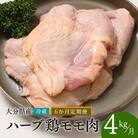 【鶏モモ肉 4kg/6ヶ月定期便】 ハーブ鶏 計24kg 業務用 冷蔵 配送 国産 九州 鶏肉 肉