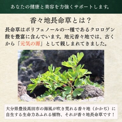 【スピード発送】 香々地長命草パウダー(3g×30包入)| 香々地ベジファーム　豊後高田市