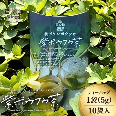 【スピード発送】 香々地長命草紫ボウフウ茶(5g×10袋入)| 香々地ベジファーム　豊後高田市