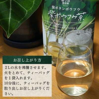 【スピード発送】 香々地長命草紫ボウフウ茶(5g×10袋入)| 香々地ベジファーム　豊後高田市