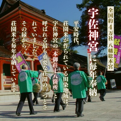 荘園米 10kg【精米済】(5kg×2袋) 米 お米 精米 ひのひかり ヒノヒカリ