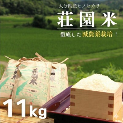 荘園米 【玄米】11kg(1袋/精米後約10kg)  精米 ひのひかり ヒノヒカリ