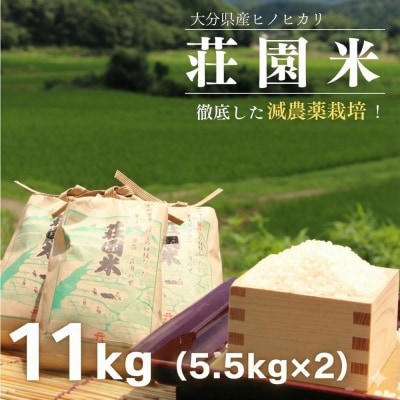 荘園米 【玄米】11kg(5.5kg×2袋/精米後約5kg×2袋) 精米 ひのひかり ヒノヒカリ