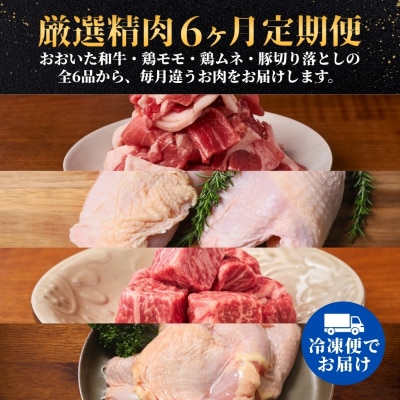【6ヶ月定期便】大分県のお肉定期便(おおいた和牛・鶏モモ・鶏ムネ・豚)全6品 | 豊後高田市 肉