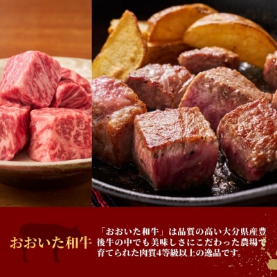 【6ヶ月定期便】大分県のお肉定期便(おおいた和牛・鶏モモ・鶏ムネ・豚)全6品 | 豊後高田市 肉