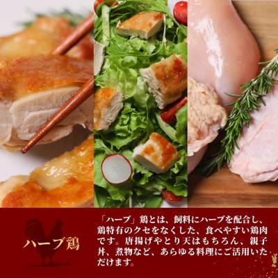 【6ヶ月定期便】大分県のお肉定期便(おおいた和牛・鶏モモ・鶏ムネ・豚)全6品 | 豊後高田市 肉