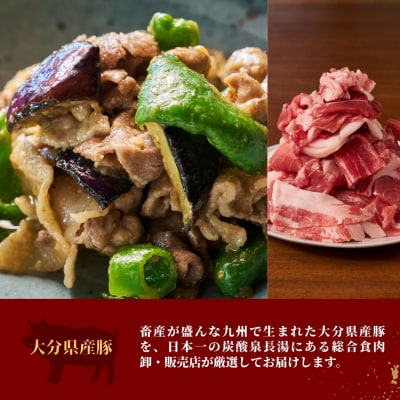 【6ヶ月定期便】大分県のお肉定期便(おおいた和牛・鶏モモ・鶏ムネ・豚)全6品 | 豊後高田市 肉